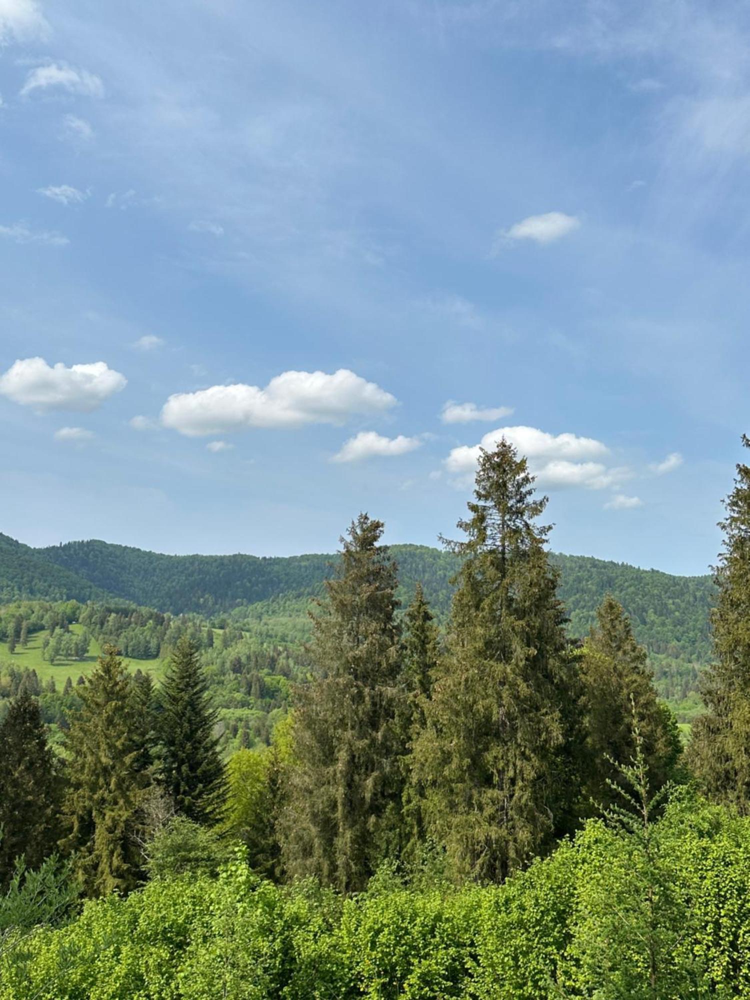 Jurkowa Wola Appartement Jureczkowa Buitenkant foto